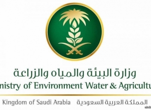 البيئةتضبط كميات من الحطب المحلي المستخدم في النشاط التجاري بالرياض  