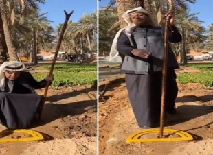 بداية بذرة الست مع ( الزعاق ) 