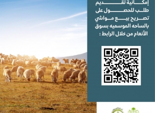 أمانة الجوف تستقبل طلبات تراخيص بيع الأضاحي بالساحة الموسمية إلكترونيا