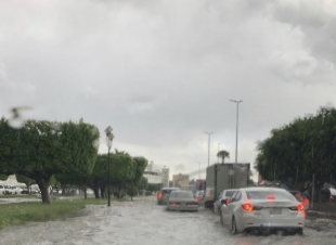أمطار الطائف الغزيرة تهوي بدرجات الحرارة إلى 11 درجة