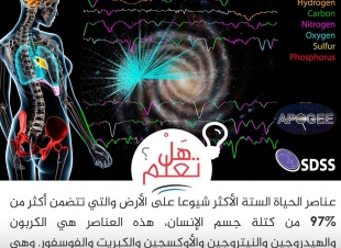  عناصر الحياة السته