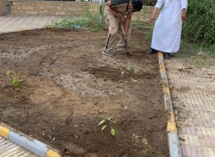 زراعة عشرات الاشجار والشتلات في محيط المراكز الصحية بجدة