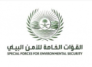 ضبط مجموعة مخالفين لنظام البيئة 