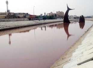 علاقة تغير لون الماء بالصدأ فتون الصائغ تحذر السباحين طحلب سام في بحيرة السمكة