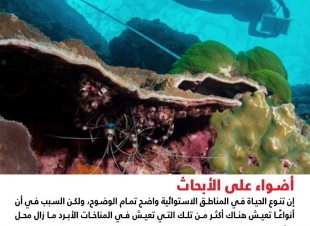 علم البيئة أنماط التنوع الحيوي العالمي