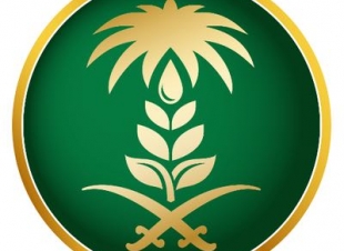 المديرية العامة لخدمات المياه بالمدينة المنورة تربط بالخطوط الرئيسية في طريق الجامعات .