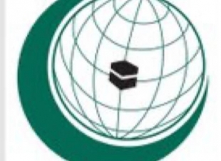 منظمة التعاون الإسلامي تشيد بنتائج مؤتمر باريس وإعلان السعودية تقديم 20 مليون دولار منحة لدعم السودان