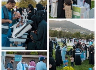 مبادرة 