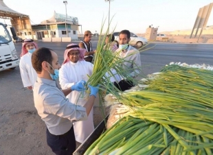 الغذاء والدواء تسحب عينات خضار وفواكه واردة من المزارع محلية