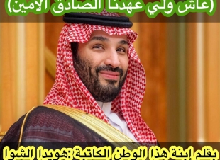 ((عاش ولي عهدنا الصادق الأمين)) 