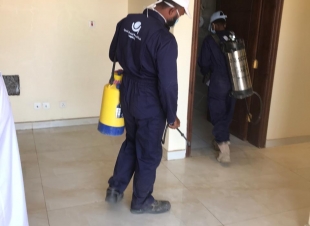 بالصور.. فرع وزارة البيئة والمياه والزراعة بالمدينة المنورة يقوم بأعمال الصيانة والتعقيم