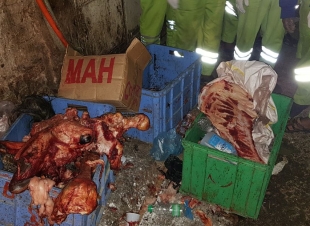 مصادرة اكثر من 5 طن من اللحوم غير صالحة بمكة