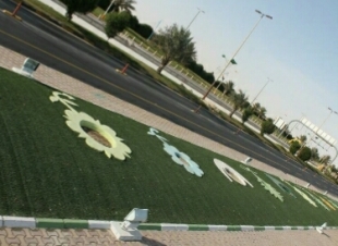 السعيرة البلدية تزين الشوارع ب 360 نخله