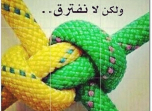 نختلف لنكتمل