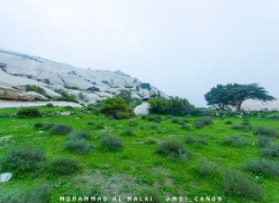 جبل ابراهيم جنوب الطائف يعانق السماء شموخا