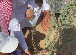 لنجعلها خضراء وزارة البيئة والمياه والزراعة بمنطقة المدينة المنورة تطلق حملة تشجير المدينة
