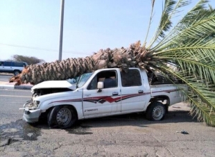 تعطلت الإشارة المرورية شهرا فوقع حادث مفجع في مدخل قوز القنفذة