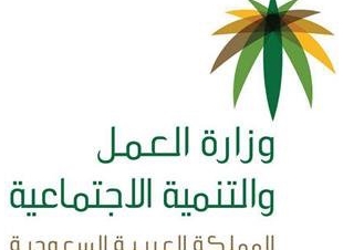 صرف المساعدة المقطوعة لا يؤثر على مستحقات الضمان إعانة الزواج تصرف للأيتام ذوي الاحتياجات الخاصة فقط. 