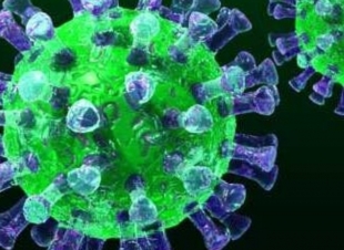 كوفيد ١٩ وبلاء بلا رحمة