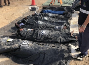 وفاة 266 وإصابة 42 في سقوط طائرة بجدة إثر احتراق كابيتنها.