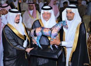 خالد الفيصل يتوج الفائزين في بطولة مكة لجمال الجواد العربي