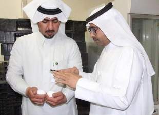 فرع وزارة البيئة بالشرقية يضبط كميات كبيرة من البيض المخزن بغرض الاحتكار