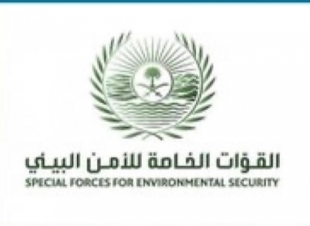 القوات الخاصة للأمن البيئي تضبط كميات من الحطب المحلي المستخدم لأغراض تجارية