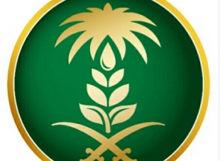 البيئة  تصريف40 مليون متر من سد حلي للري مزارع القنفذة 