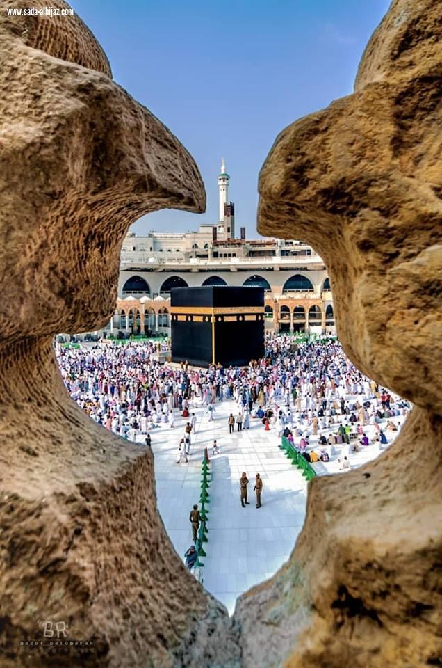 المصور بدر باتوباره لصدى الحجاز افتخر بحصولي على المركز الاول في ملتقى الشباب العربي (12) بالاسكندرية عام ٢٠١٥ م | صحيفة صدى الحجاز الالكترونية