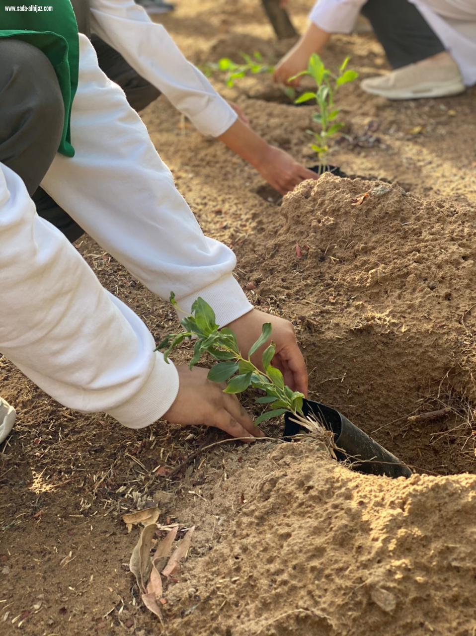 أسبوع البيئة بتقنية البنات بالمدينة 