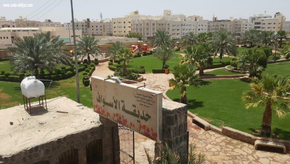 أمانة المدينة تزرع مليون 744 ألف شتلة لأعمال الزراعة خلال عام 1439هـ