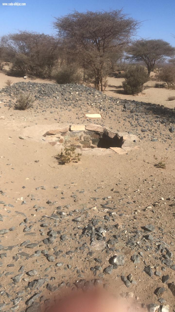 بالصور ..مكتب زراعة المهد بمنطقة المدينة المنورة يقوم بجولات ميدانية مستمرة