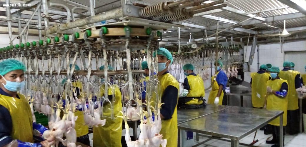 فرع وزارة البيئة والمياة و الزراعة بمنطقة المدينة المنورة يقوم بزيارات مفاجئة
