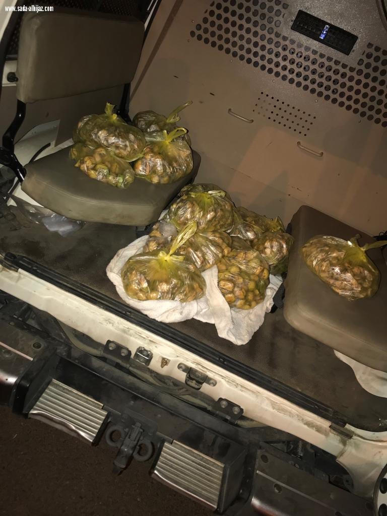 حملة وطن بلا مخالف بمشاركة عدة جهات حكومية وخدمية تستأنف عملها في الطائف