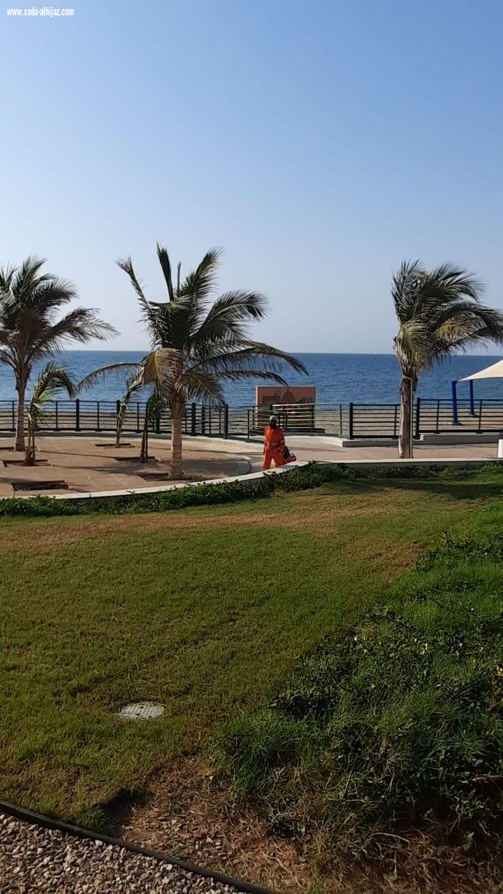 بلدية محافظة بيش استثمارات عظيمة وسواعد تزخر بالعطاء
