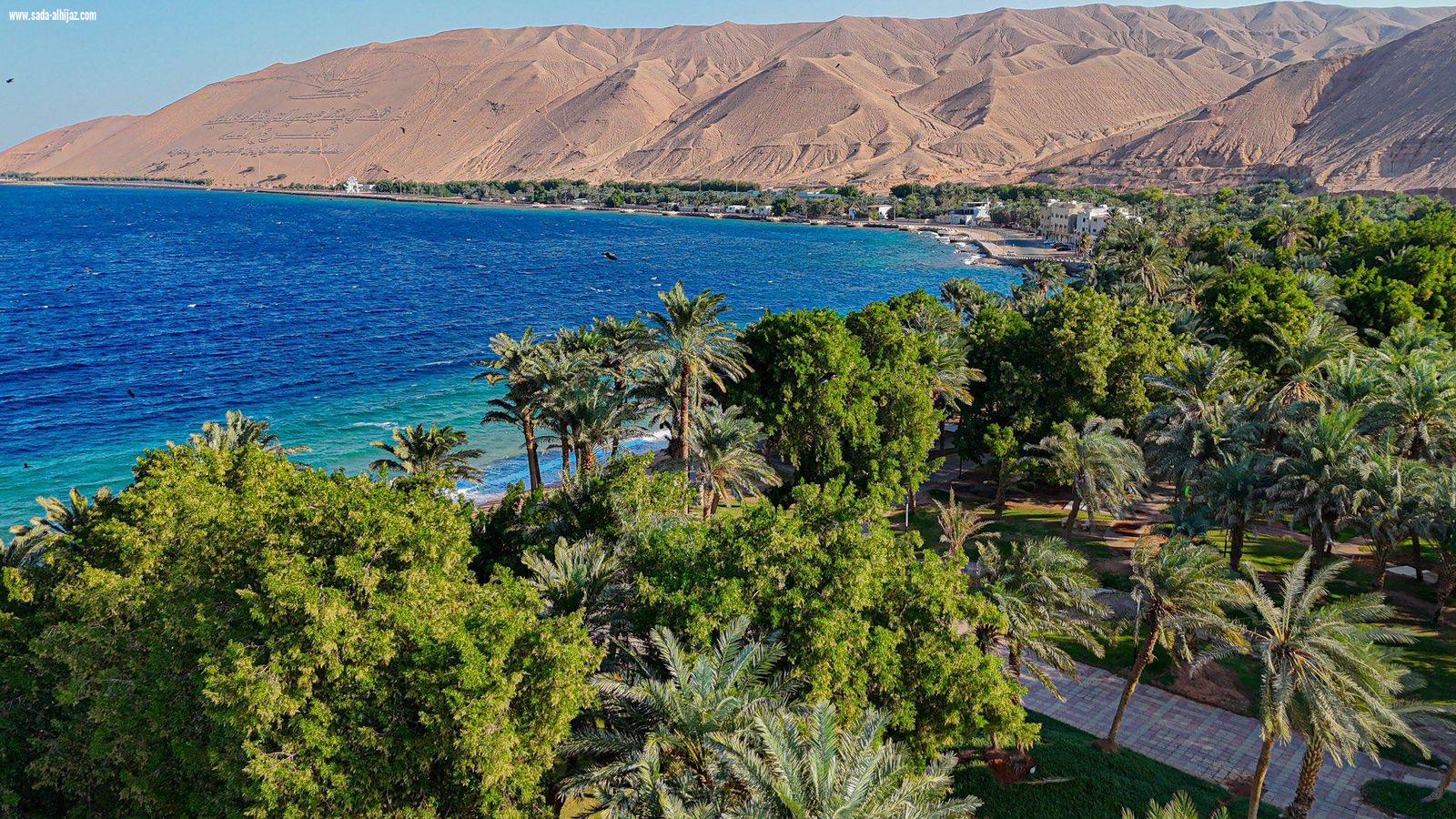 أمانة تبوك تهيئ 241 حديقة وواجهة بحرية لاستقبال الأهالي والزوار خلال عطلة عيد الأضحى