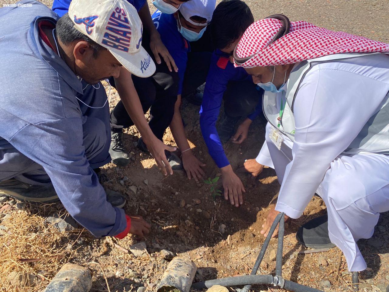 *فرع  وزارة البيئة والمياه والزراعة بمنطقة المدينة المنورة   يستكمل حمله لنجعلها خضراء في المنتزه الوطني بطريق تبوك بالمدينة المنورة  