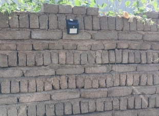 شباب 